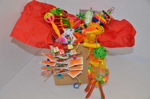 extra-small-box-sample-w